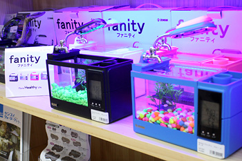 ファニティ（fanity)【多機能ミニミニ水槽】 ピンク 【新品】