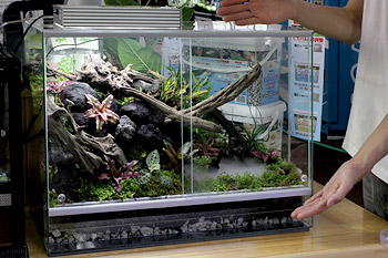 レプタイルケージ♪♪: チャーム邑楽店スタッフブログ